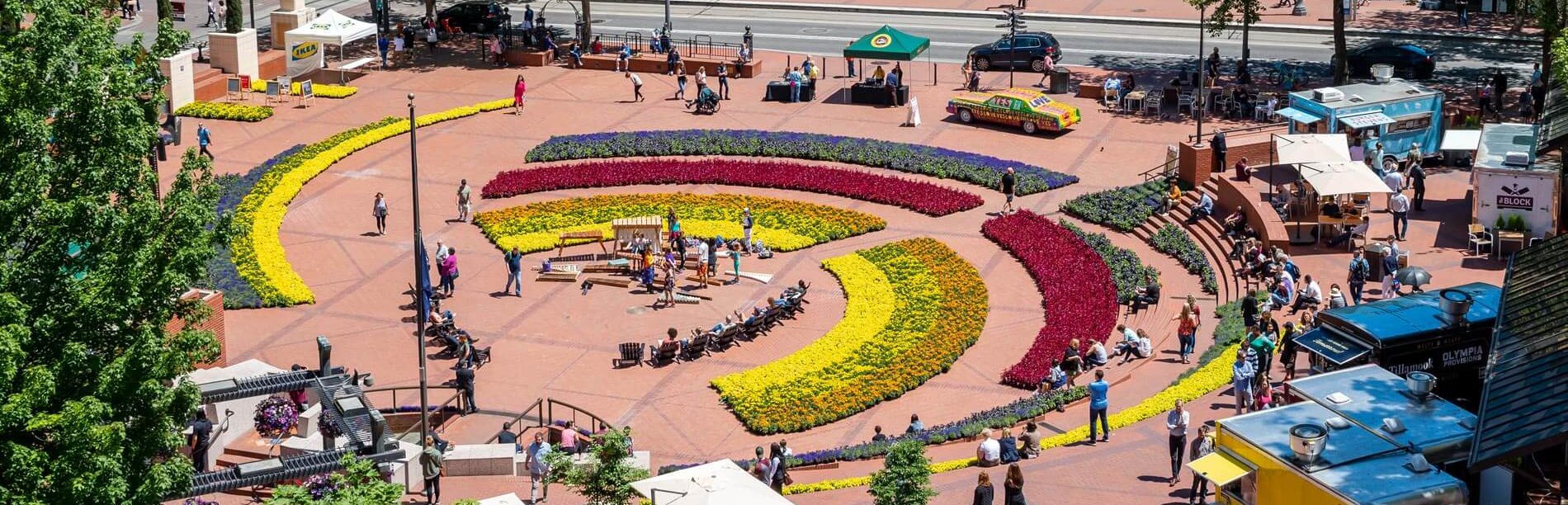 Festival of Flowers Galaxy Glow Garden