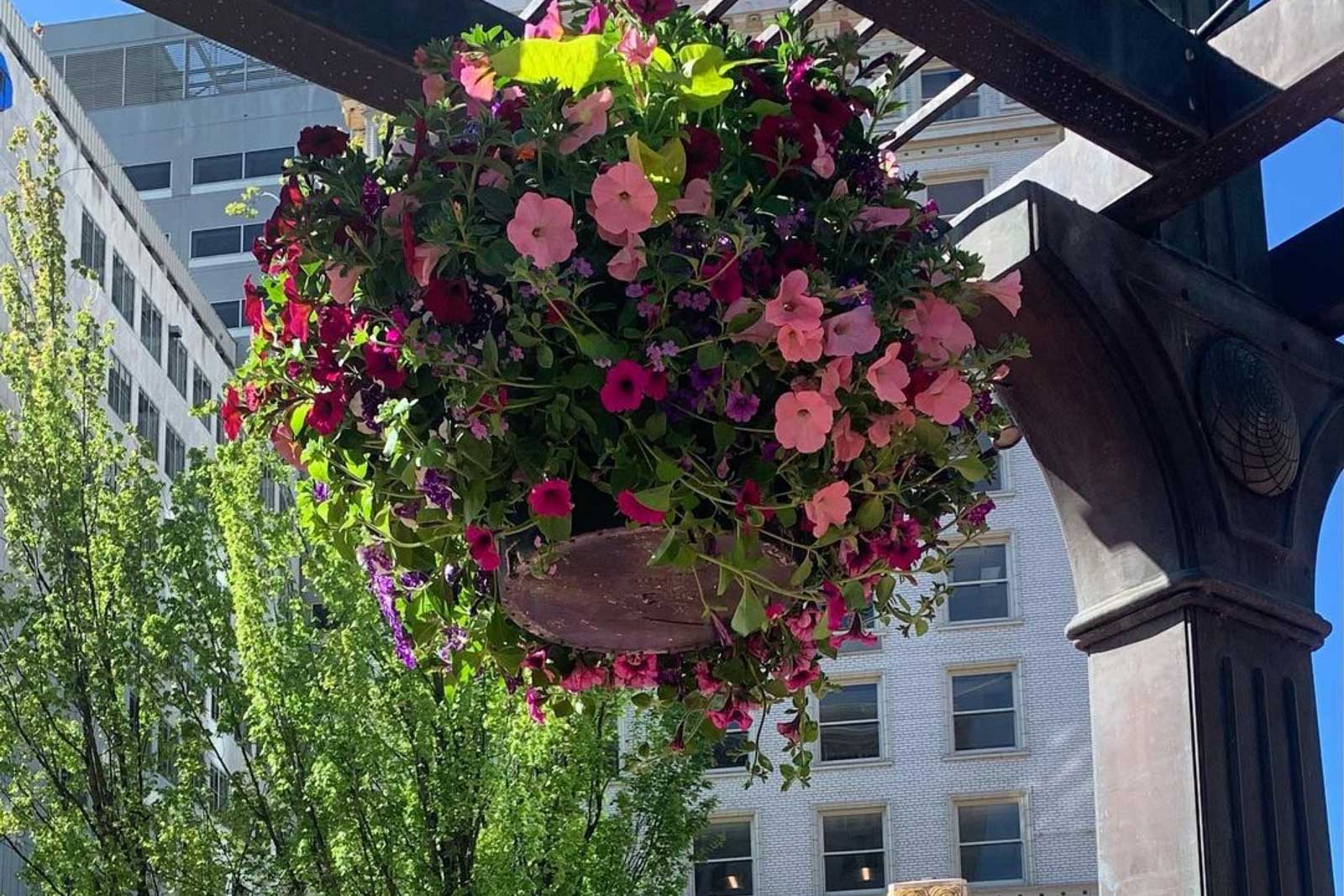 Square Repairs & Improvements Prepare for Summer!