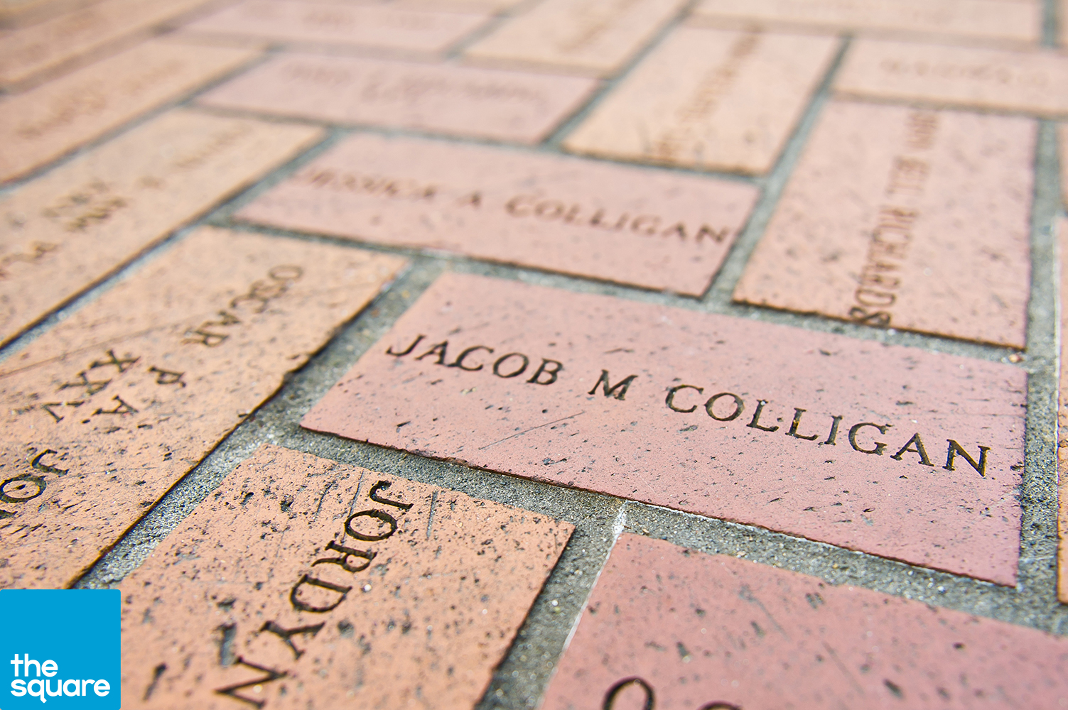 Named Bricks - The named bricks, which pave the Square's surface, were purchased by citizens and local businesses to raise money to build and maintain the Square. There are more than 72,430 named bricks currently in the Square. Famous bricks located in the Square are: Elvis Presley, Jimi Hendrix, Dan Rather, Sherlock Holmes, George Washington, and even Mr. Bill.